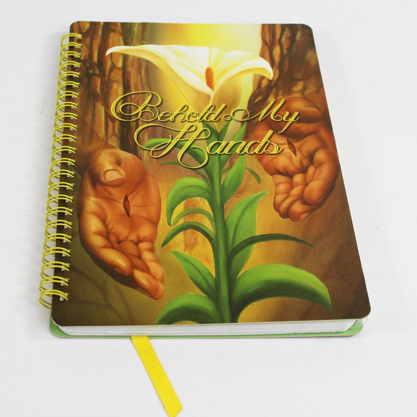 Behold My Hands Journal the Hicks Twins cover