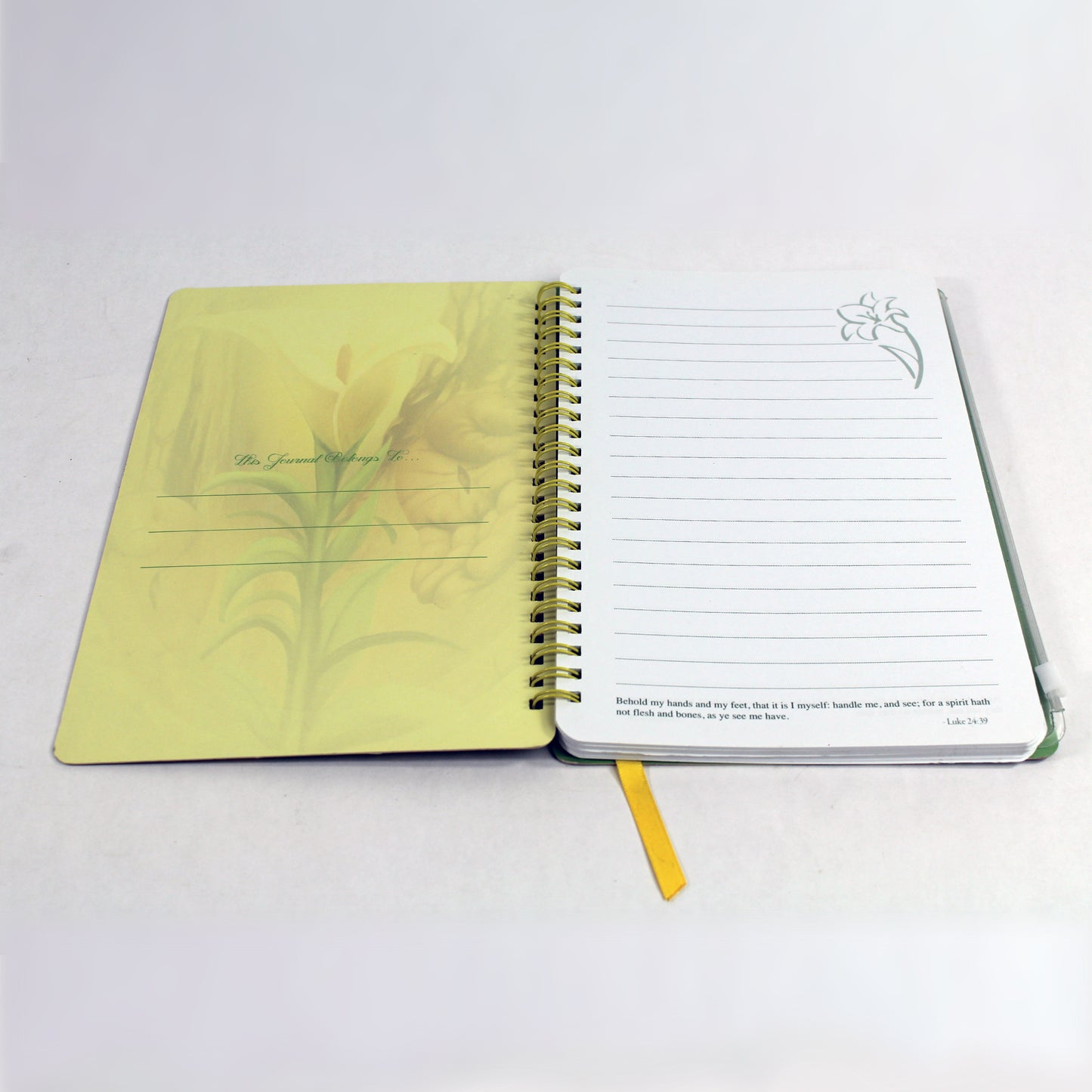 Behold My Hands Journal the Hicks Twins interior 1
