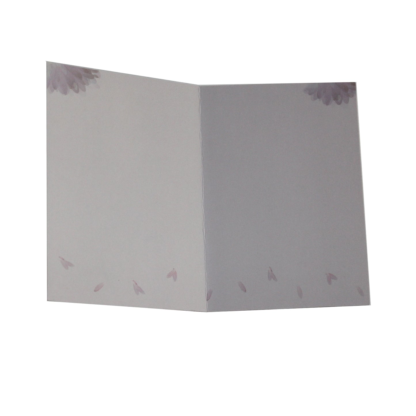 Assorted Note Cards by Cidne Wallace