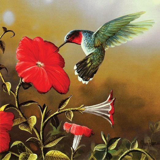 Ruby Throat Puzzle