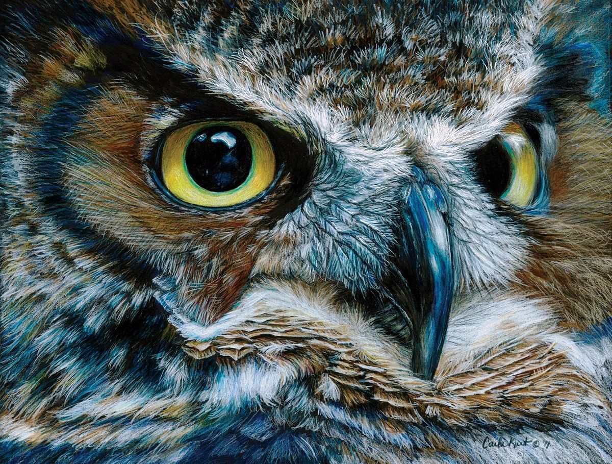 Dark Owl Puzzle