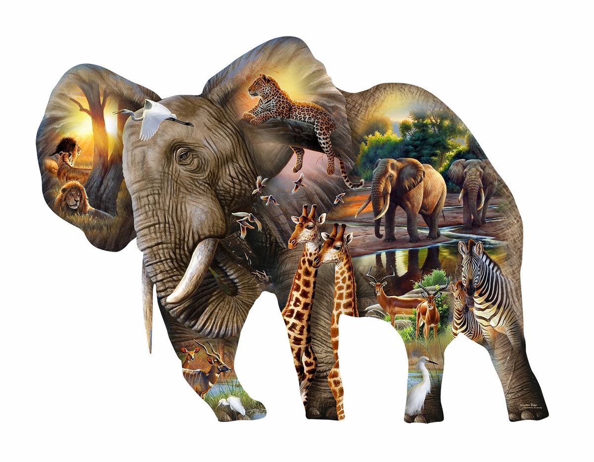 Elephant Habitat Puzzle