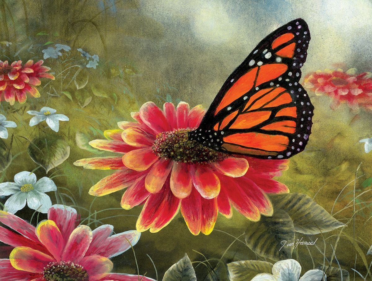 Monarch Butterfly Puzzle