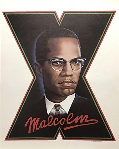 Malcolm X Unframed Print Ward Owens