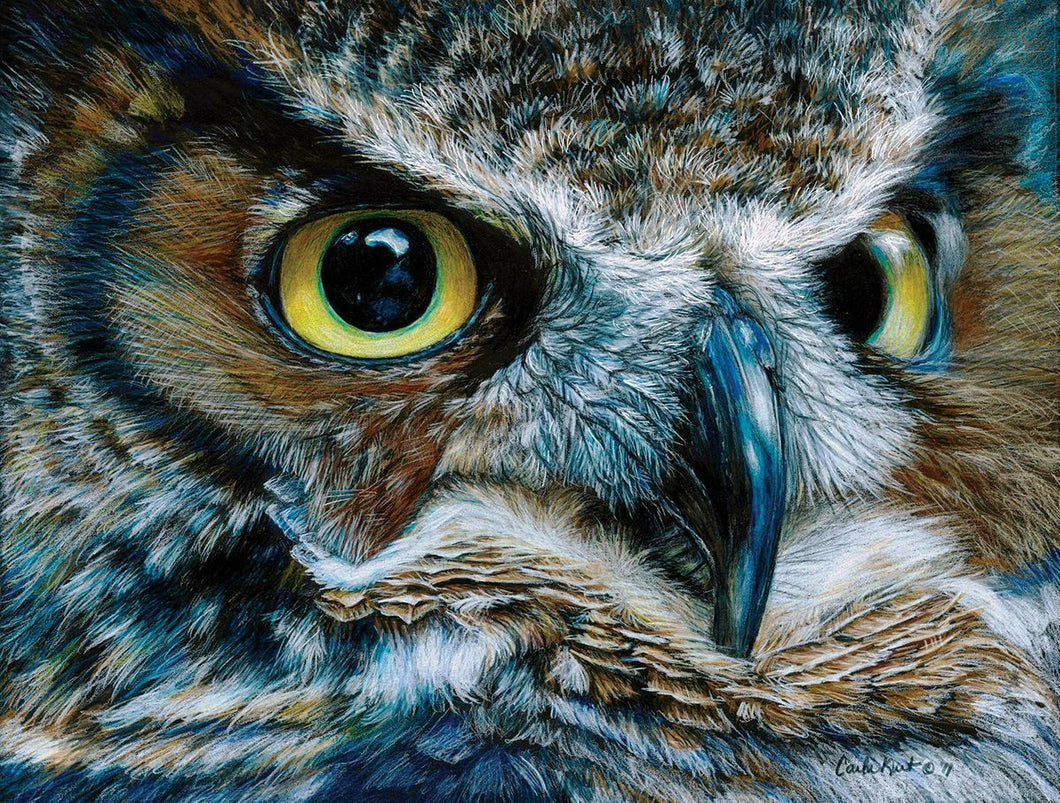 Dark Owl Puzzle